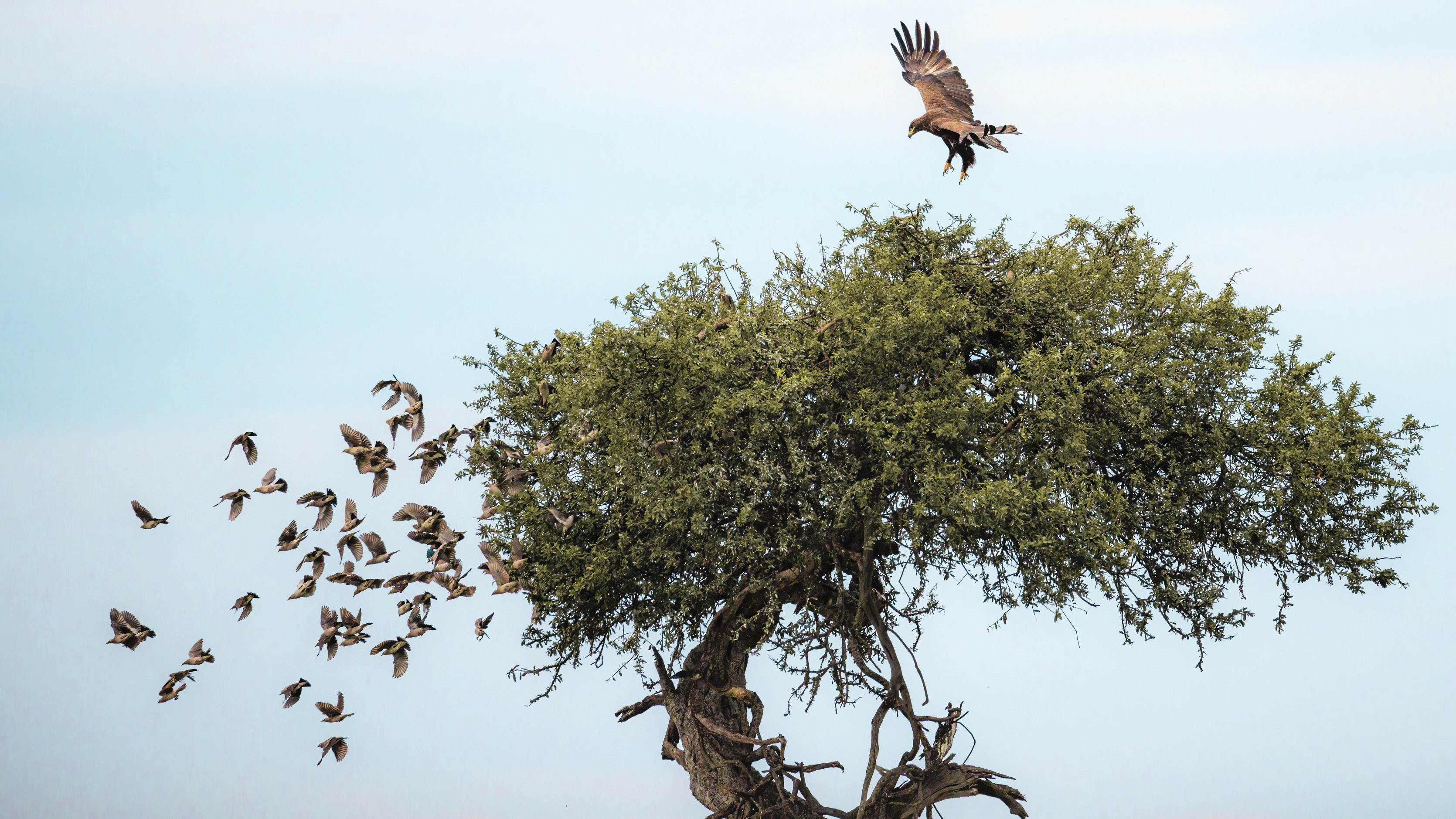 November 15, 2022-074644-5-Edit-2.jpg